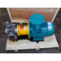 Magnetic drive gear pump